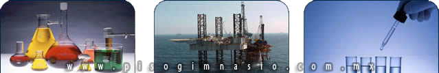 industria quimica y petroquimica PISO GIMNASIO